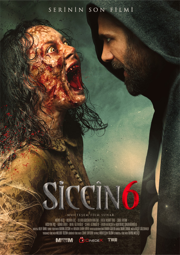 SICCIN 6